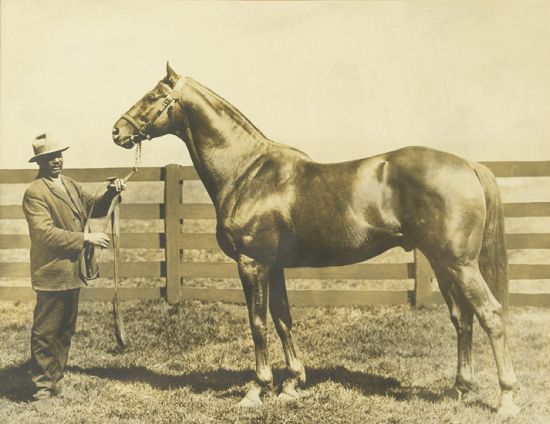(SPORTS--THOROUGHBRED RACING.) HARBUT, WILL. Man o War with his groom, Will Harbut.